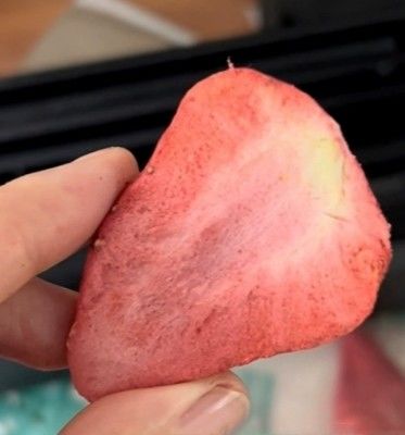 10 кг на партию Вакуумная морозильная сушилка для крупномасштабной переработки фруктов и овощей