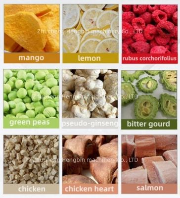 200 кг Морские продукты морозосушенная машина для сушки фруктов мяса рыбы и овощей