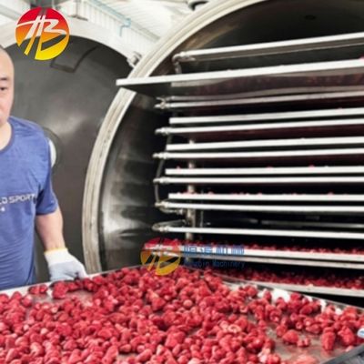 Морепродукты и фрукты 38кВт энергосберегающая морозильная сушилка с размером подноса 1400*1000 мм