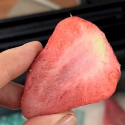 Морепродукты и фрукты 38кВт энергосберегающая морозильная сушилка с размером подноса 1400*1000 мм